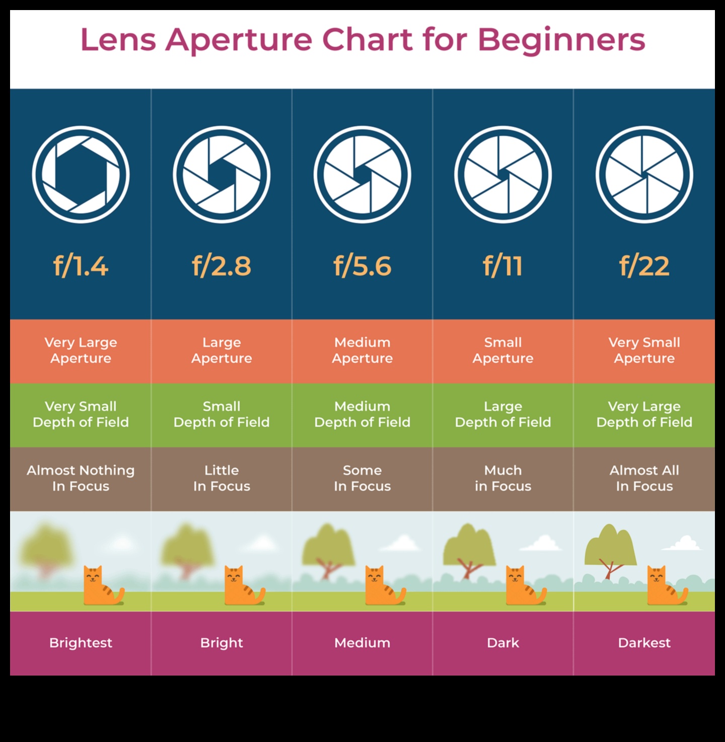 Aperture Aces: Uzman Fotoğrafçılık Eğitimi ile Yaratıcılığı Serbest Bırakın