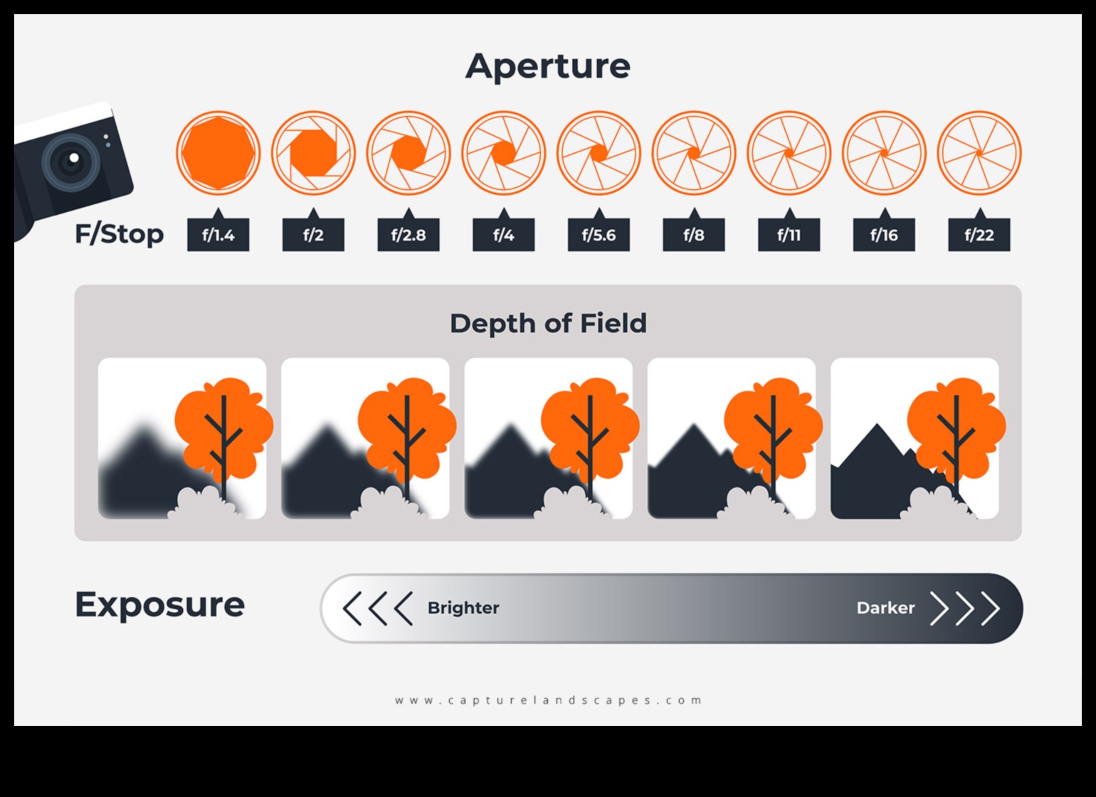 Aperture Aces: Uzman Fotoğrafçılık Eğitimi ile Yaratıcılığı Serbest Bırakın