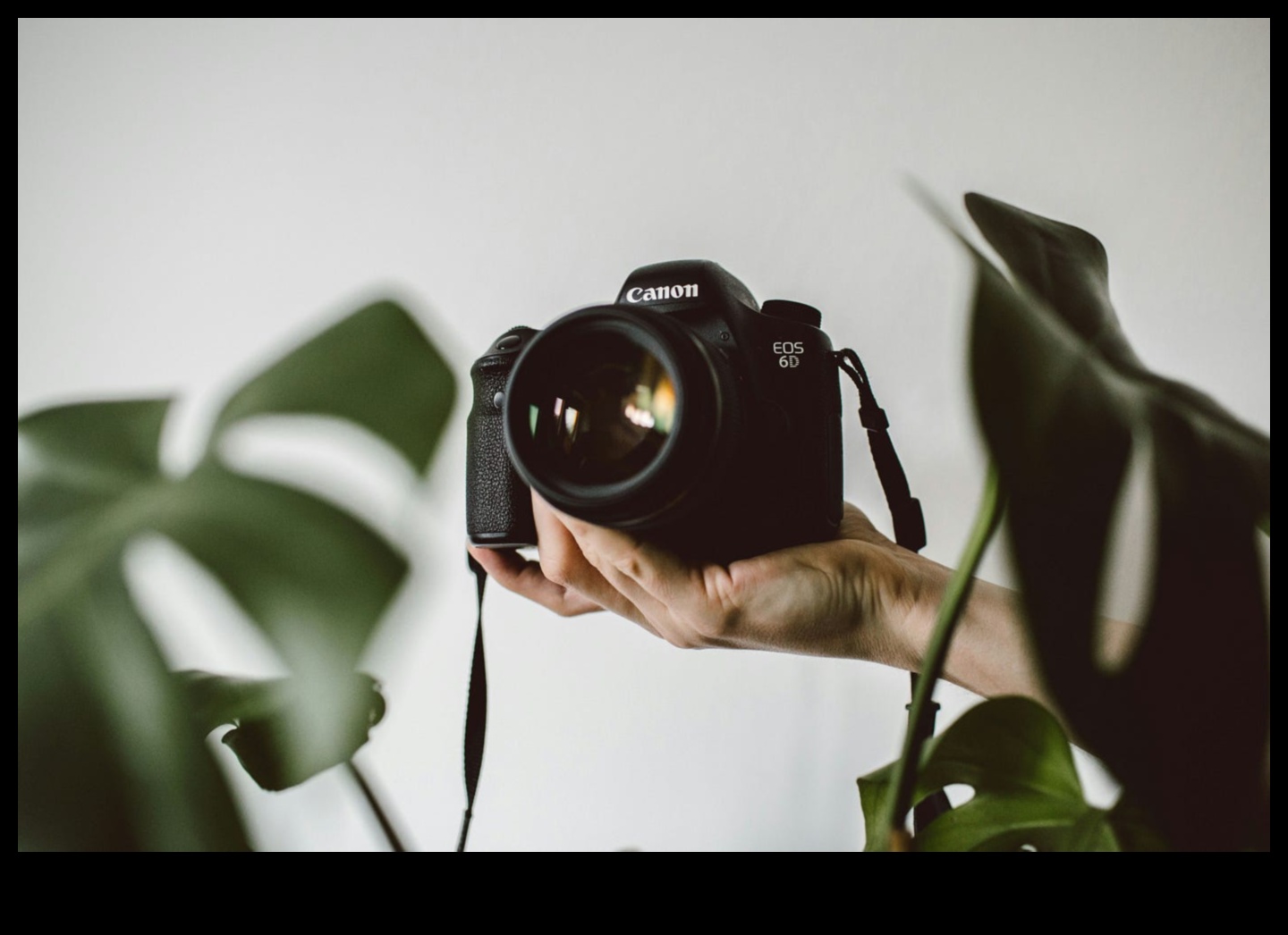 Deklanşör Başarısı: Kapsamlı Fotoğrafçılık Eğitimi ile Becerilerinizi Geliştirin